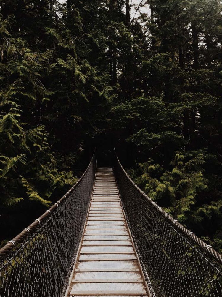 Como se apaixonar por Vancouver: Capilano Bridge