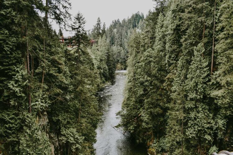 Capilano Suspension Bridge