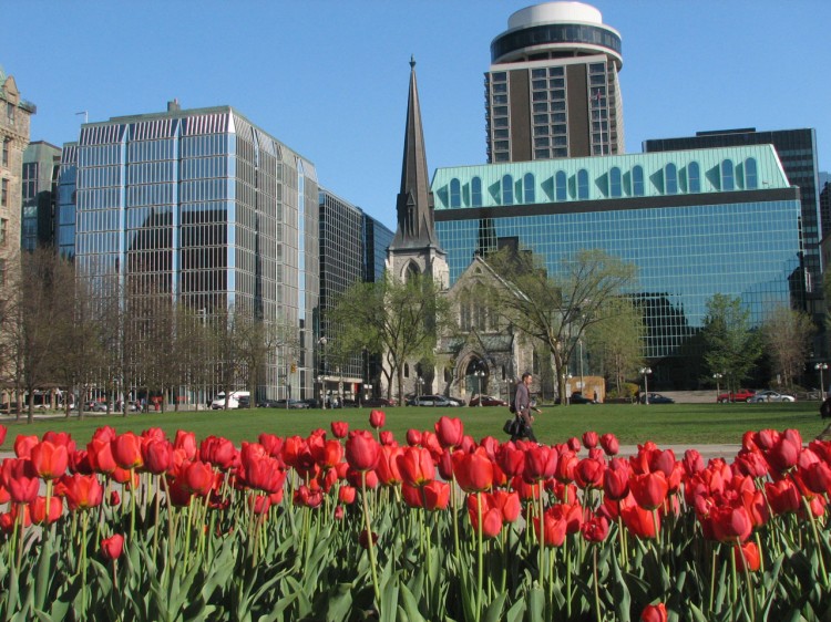 Ottawa-header-02