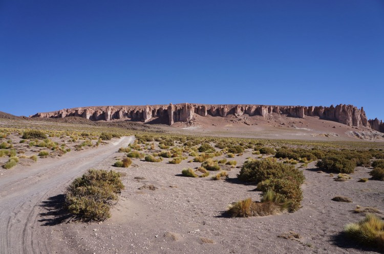 San-Pedro-Salar-de-Tara-04