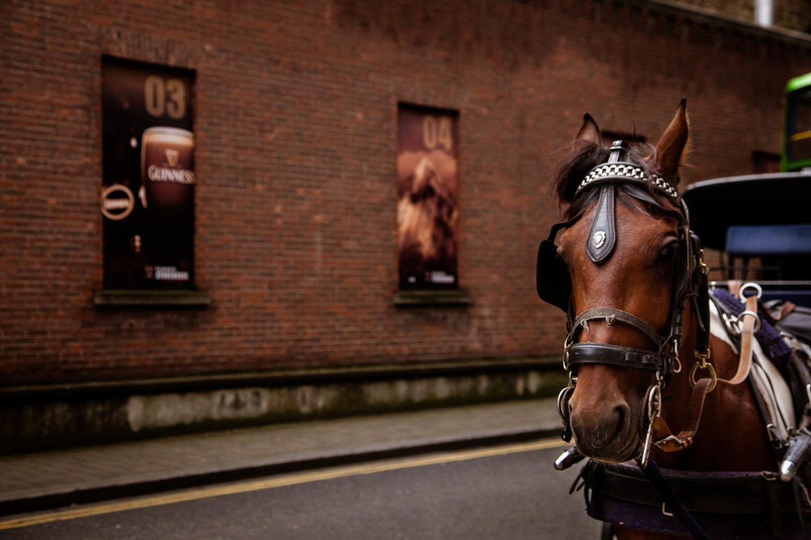 Rodei em Dublin, Irlanda