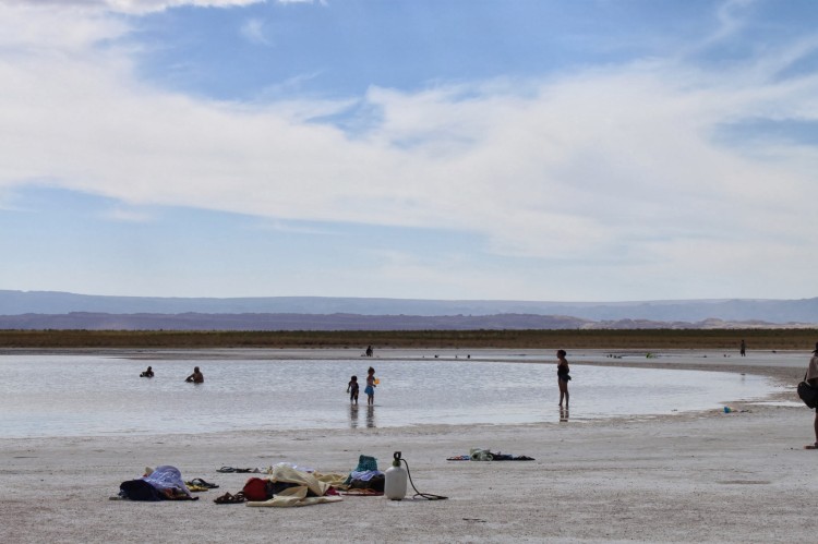 Laguna Cejar