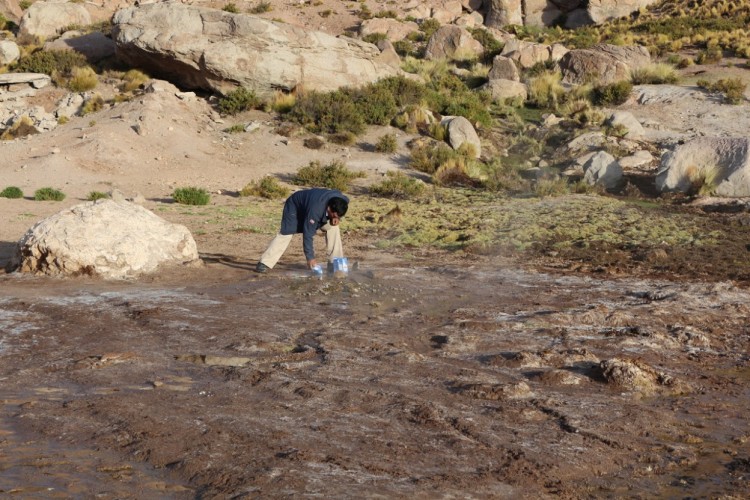 Geyser del Tatio