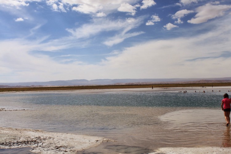 Laguna Cejar