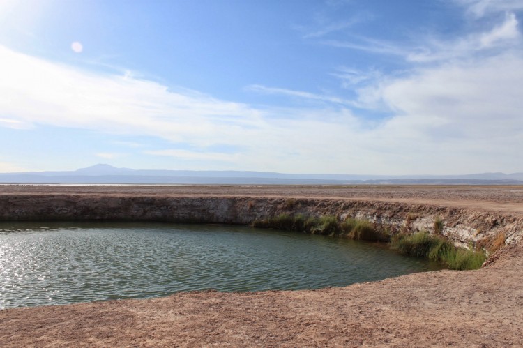 Ojos del Salar