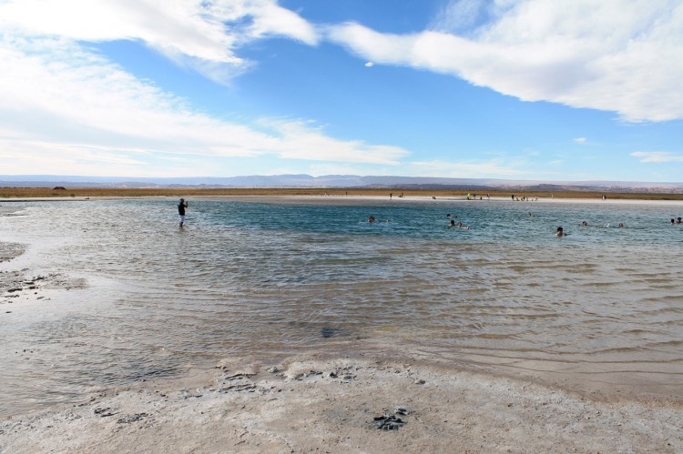 Laguna Cejar