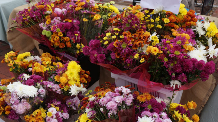 Eastern Market, o mercado de rua mais famoso de Washington DC