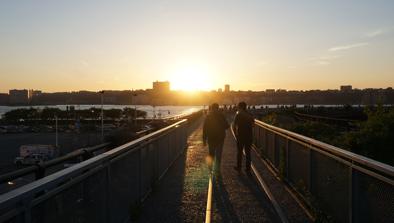 Ratos em Nova York: minha experiência morando em Manhattan