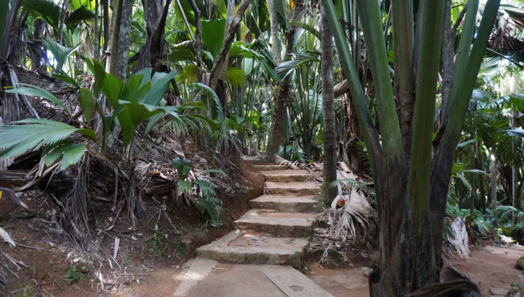 Vallée de Mai em Praslin