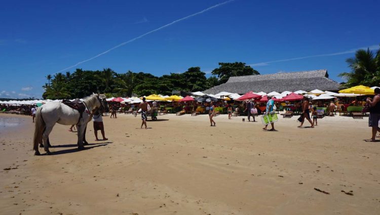 Praia dos Coqueiros em Trancoso