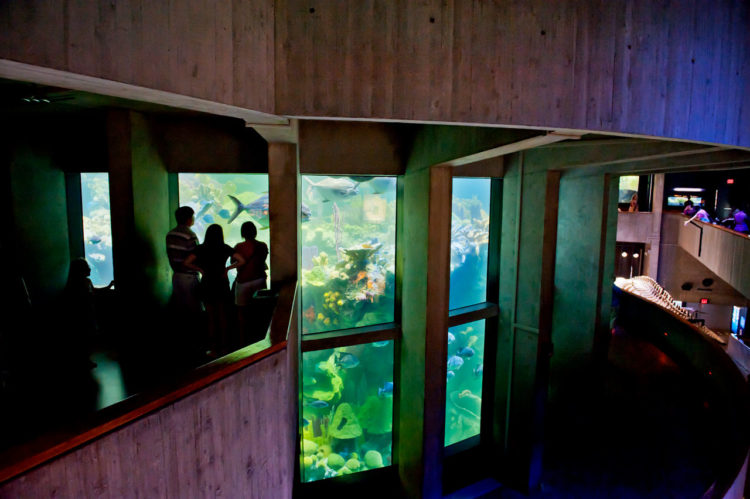 New England Aquarium: o aquário de Boston