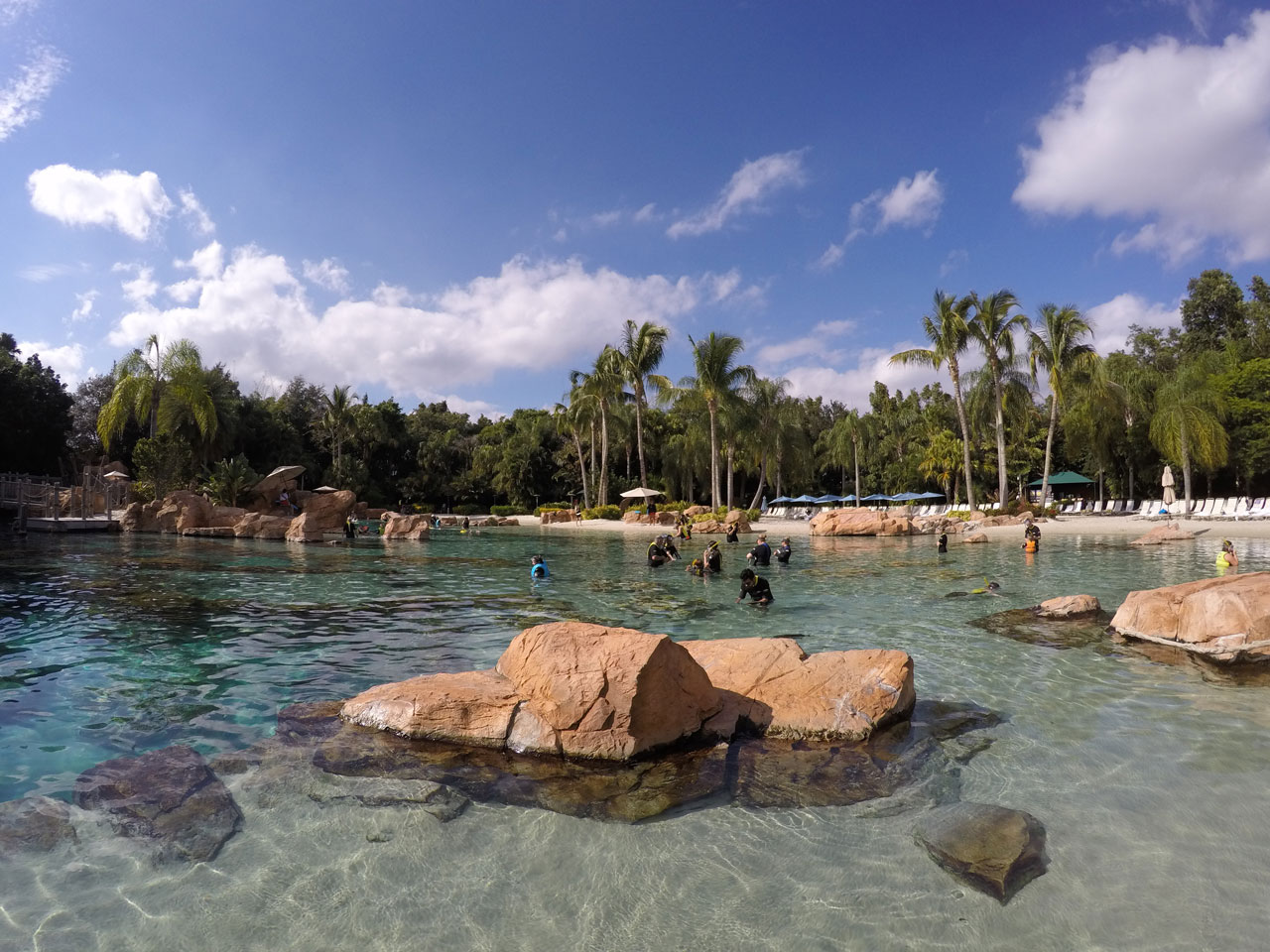 O que fazer em Discovery Cove e outras respostas
