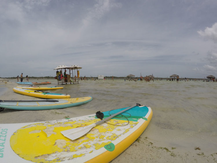 Indicações de passeios em Jericoacoara: Alchymist