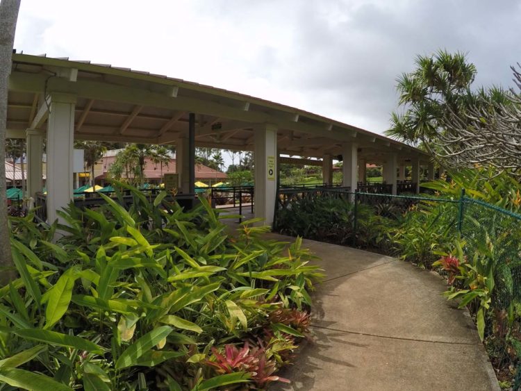 Dole Plantation