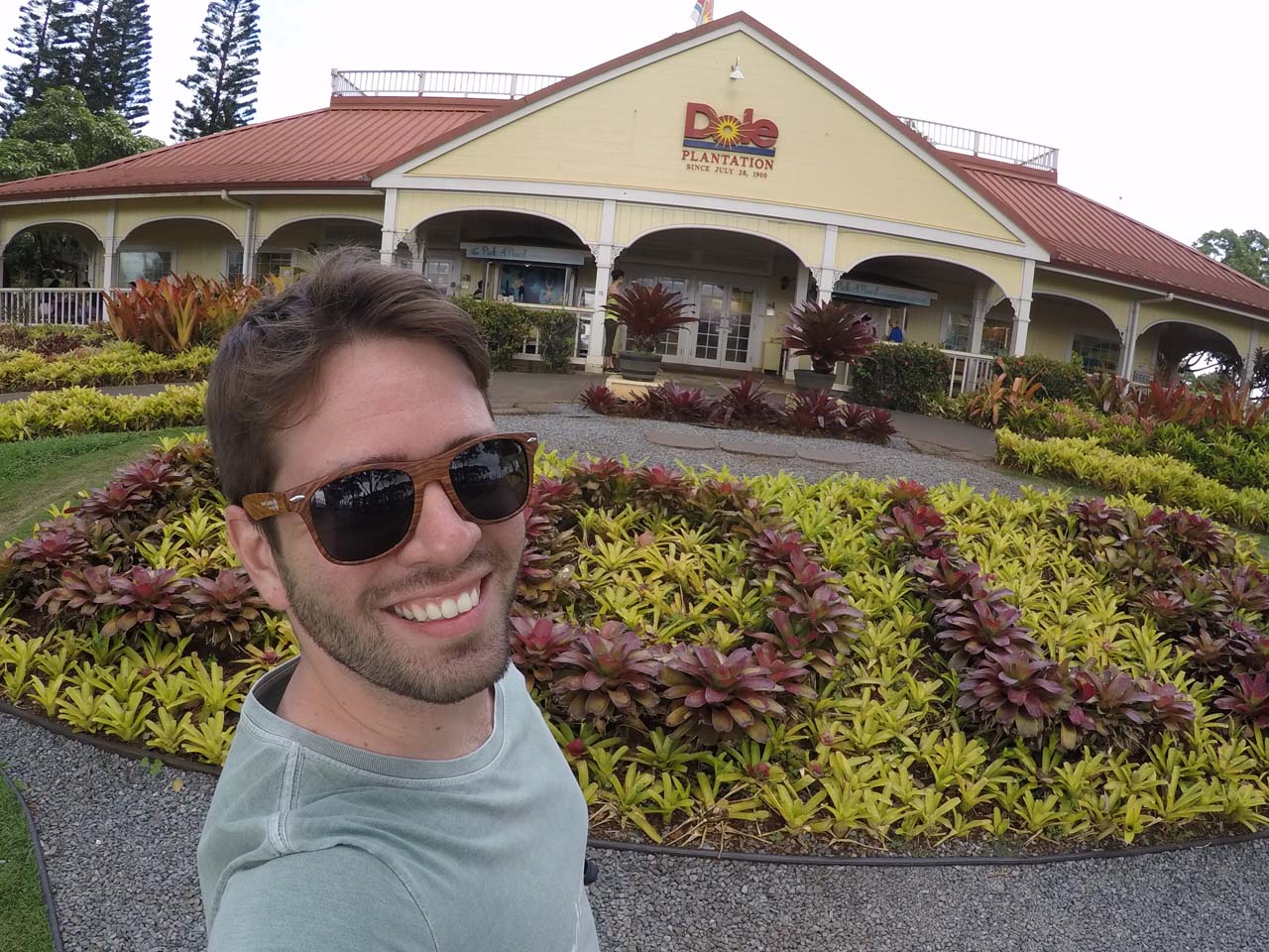 Dole Plantation