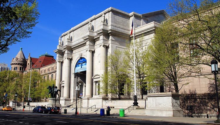 Museus em Nova York: American Museum of Natural History