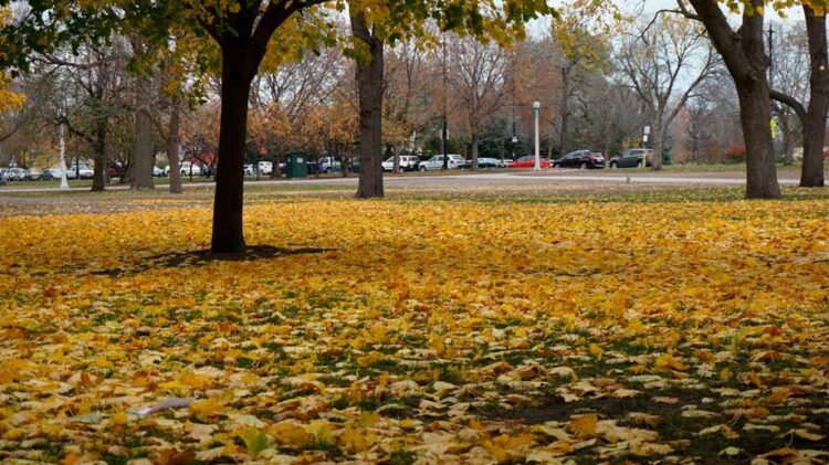 Lincoln Park em Chicago