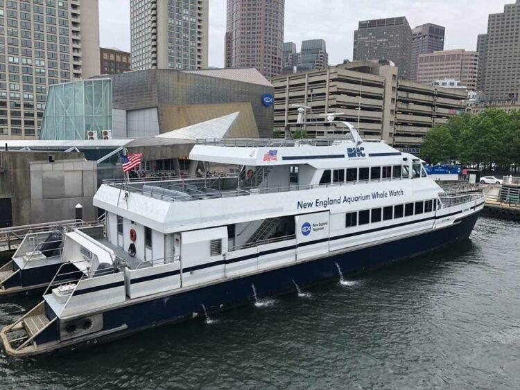 Boston Harbor Cruise 