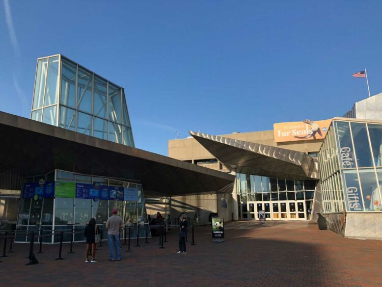 O que fazer em Boston: New England Aquarium