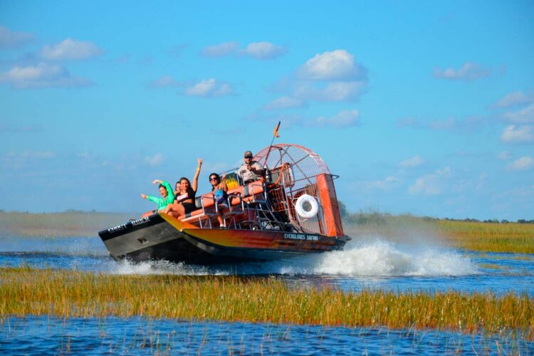 O que fazer em Miami: visitar os Everglades