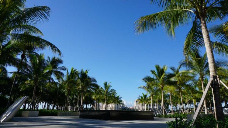 Conexão em Miami: aproveite para conhecer South Pointe Park